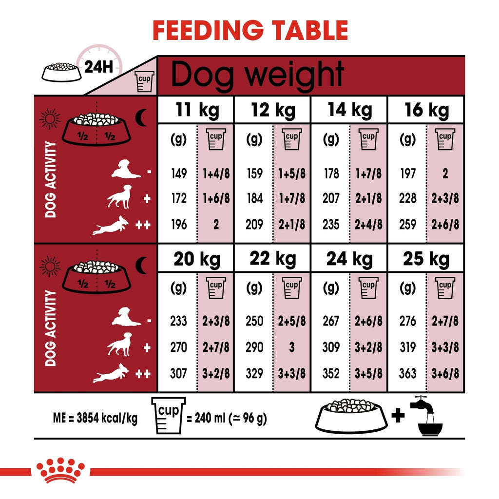 Royal Canin Medium Adult 7+ Dry Dog Food - PetHubb - RO250790