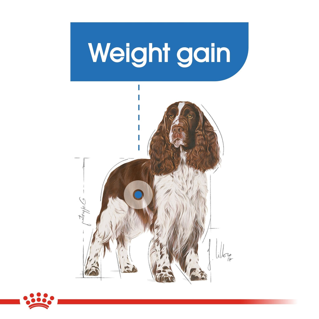 Royal Canin Medium Adult Dry Dog Food - PetHubb - RO279590