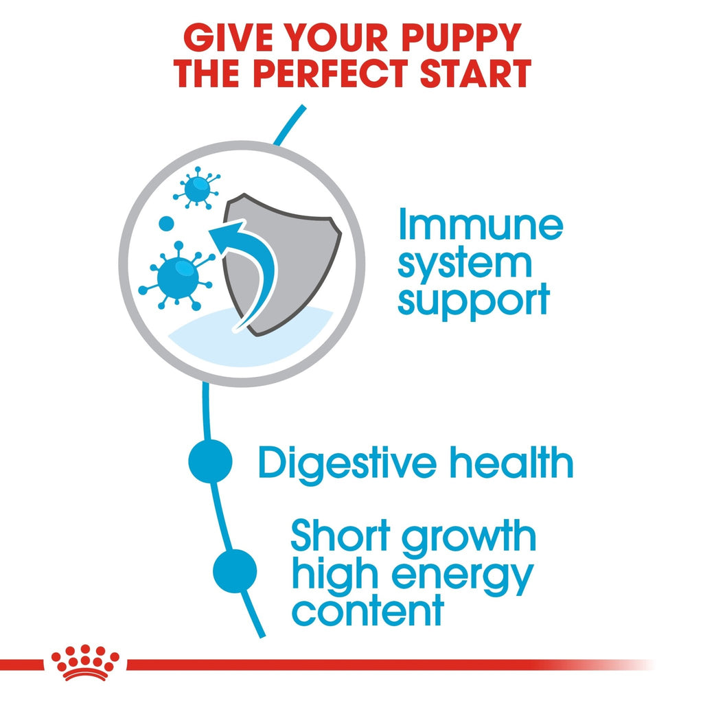 Royal Canin Medium Puppy Dry Food - PetHubb - RO307100