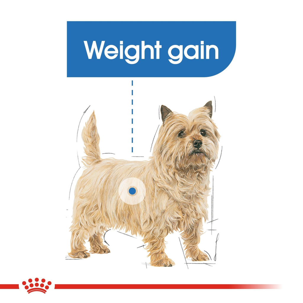 Royal Canin Mini Light Adult Dry Dog Food - PetHubb - RO279650