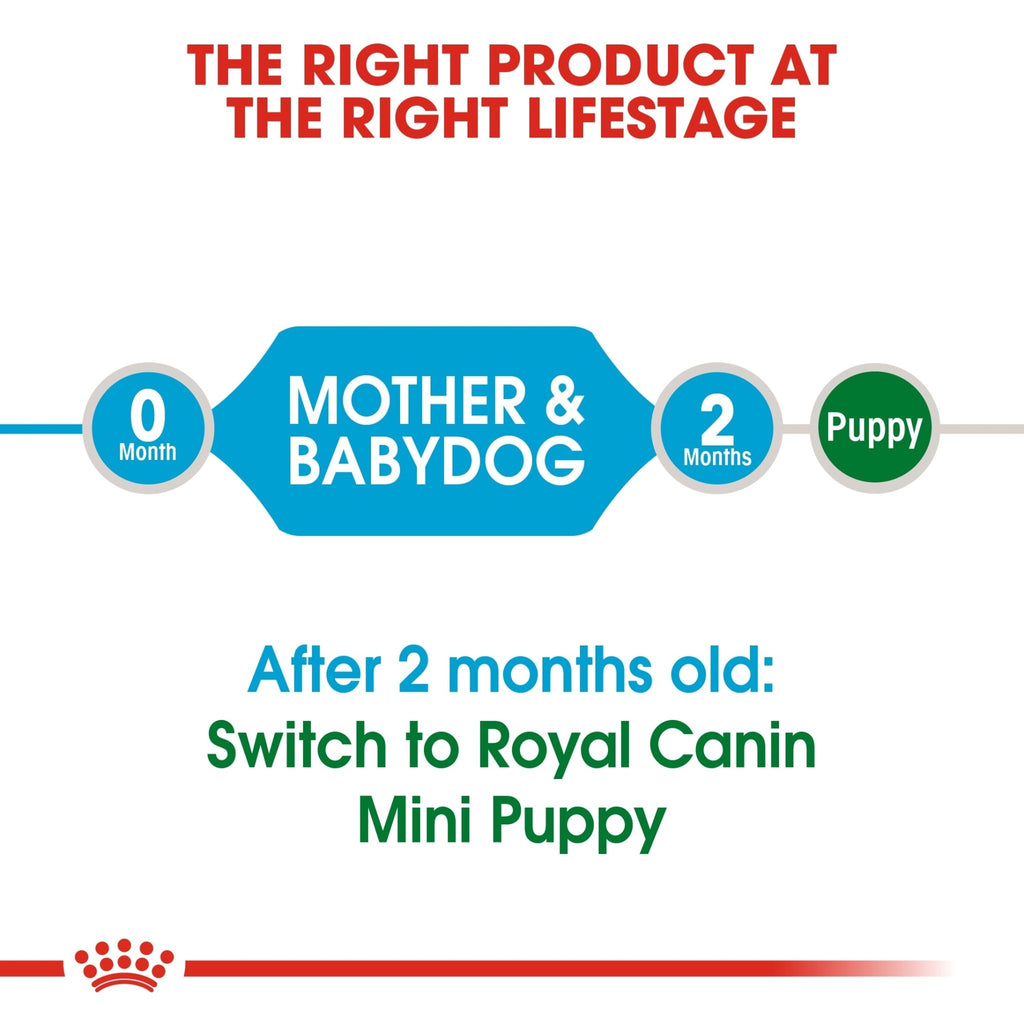 Royal Canin Mini Starter Puppy Dry Food - PetHubb - RO306730