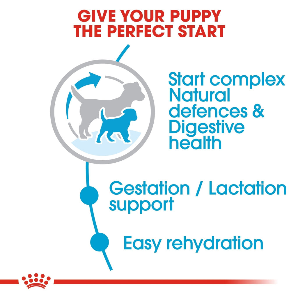 Royal Canin Mini Starter Puppy Dry Food - PetHubb - RO306730