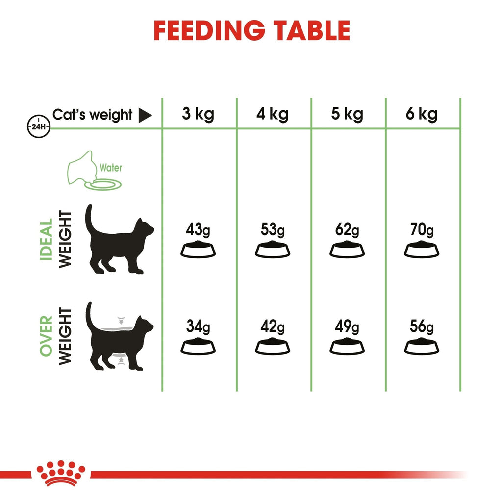 Royal Canin Nutrition Digestive Care Dry Cat Food - PetHubb - RO242020