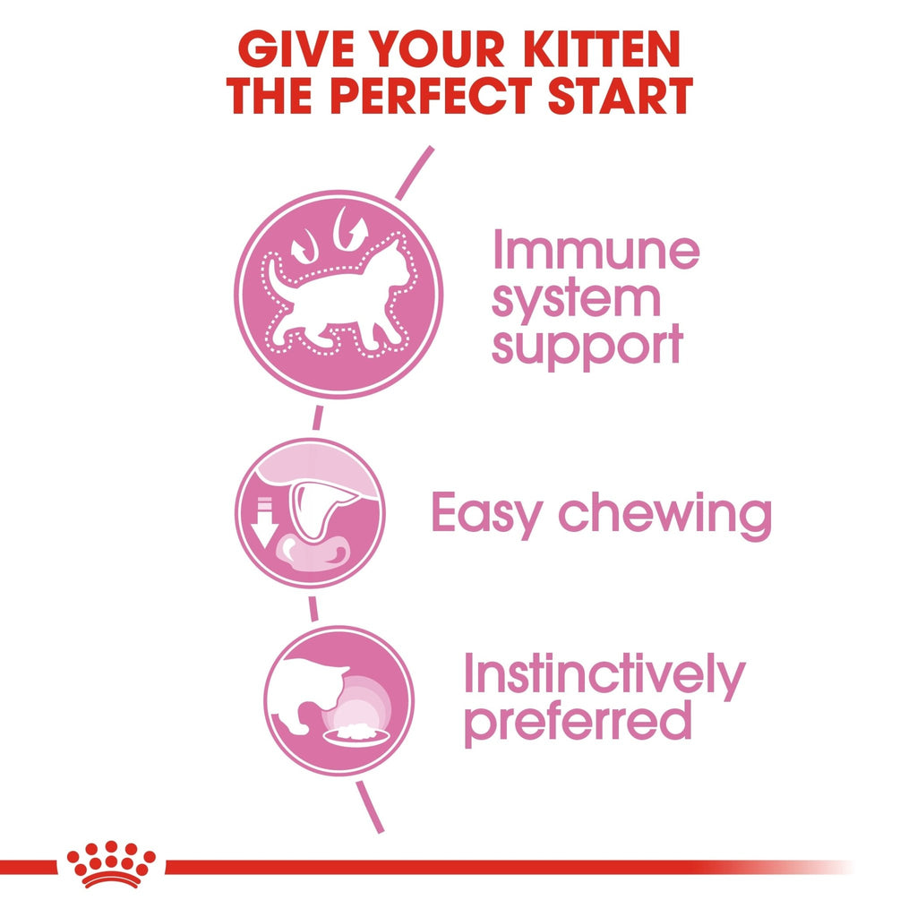 Royal Canin Nutrition Kitten Sterilised in Jelly Wet Cat Food - PetHubb - RO307560