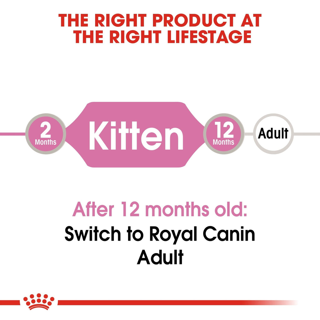 Royal Canin Nutrition Kitten Sterilised in Jelly Wet Cat Food - PetHubb - RO307560