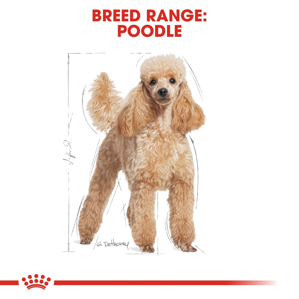 Royal Canin Poodle Adult Dry Dog Food - PetHubb - RO255620