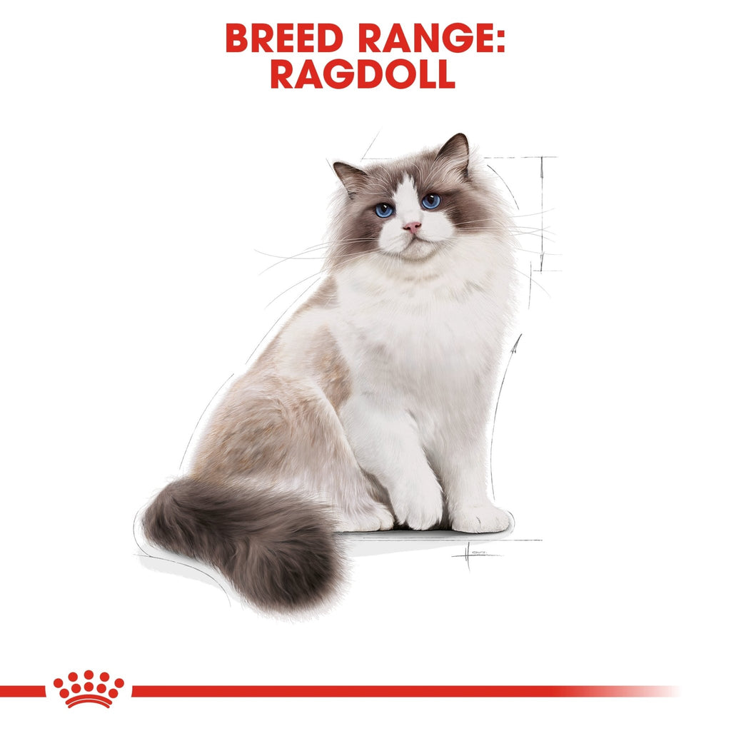 Royal Canin Ragdoll Adult Dry Cat Food - PetHubb - RO235130