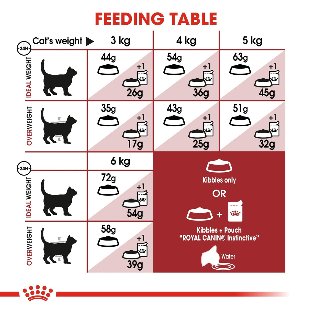 Royal Canin Regular Fit 32 Adult Dry Cat Food - PetHubb - RO228140