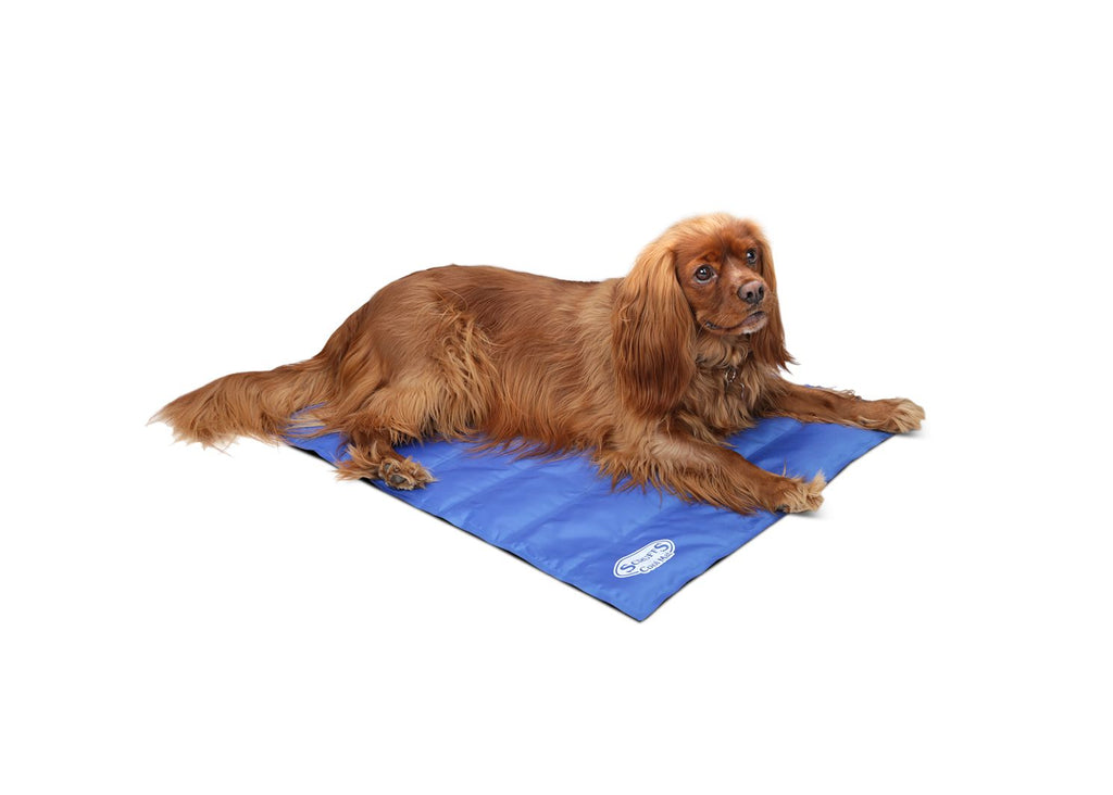 Scruffs Cool Mat - PetHubb - 300328