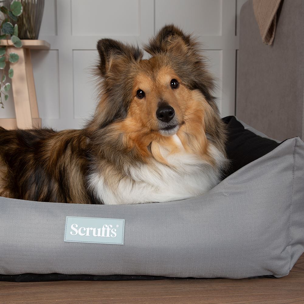 Scruffs Expedition Box Bed for Dogs - PetHubb - 300336