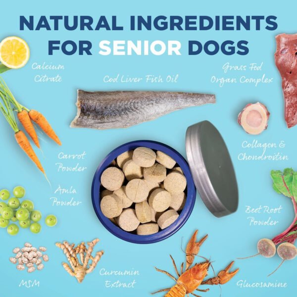 Vetericyn ALL - IN Supplement for Senior Dog - PetHubb - 1764