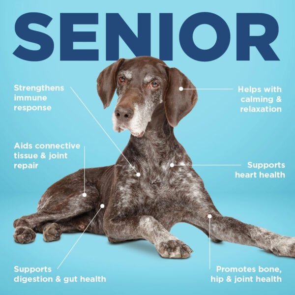 Vetericyn ALL - IN Supplement for Senior Dog - PetHubb - 1764