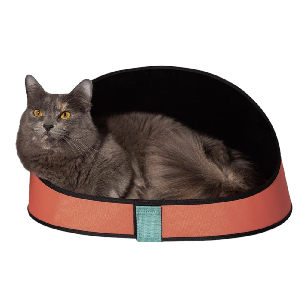 Zee.Cat Bed for Cats - PetHubb - 7908471102212