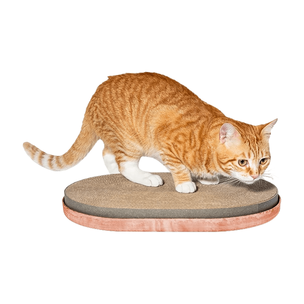 Zee.Cat Scratcher - PetHubb - 7908471102281