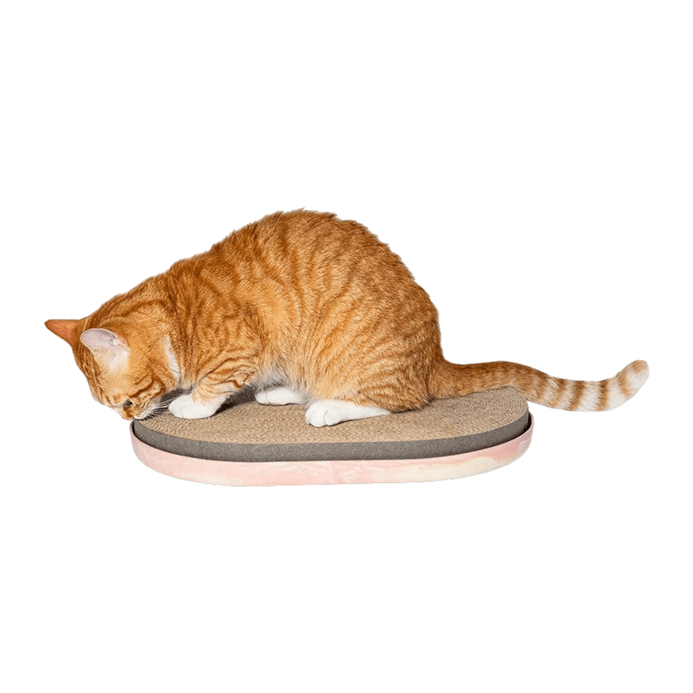 Zee.Cat Scratcher - PetHubb - 7908471102281