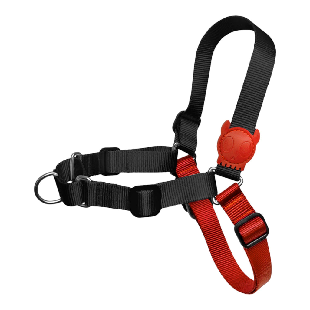 Zee.Dog Fatboy Soft - Walk Dog Harness - PetHubb - 7898582475223