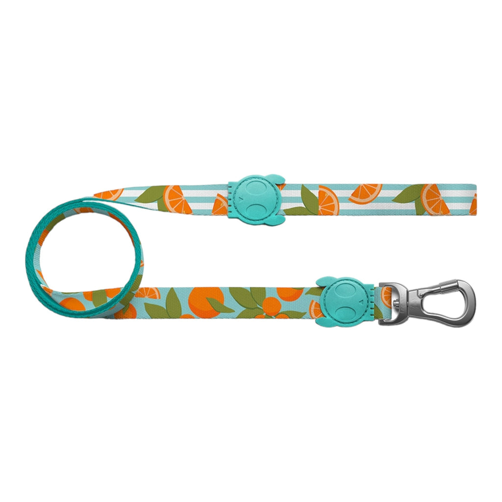 Zee.Dog Florida Dog Leash - PetHubb - 7898582480371