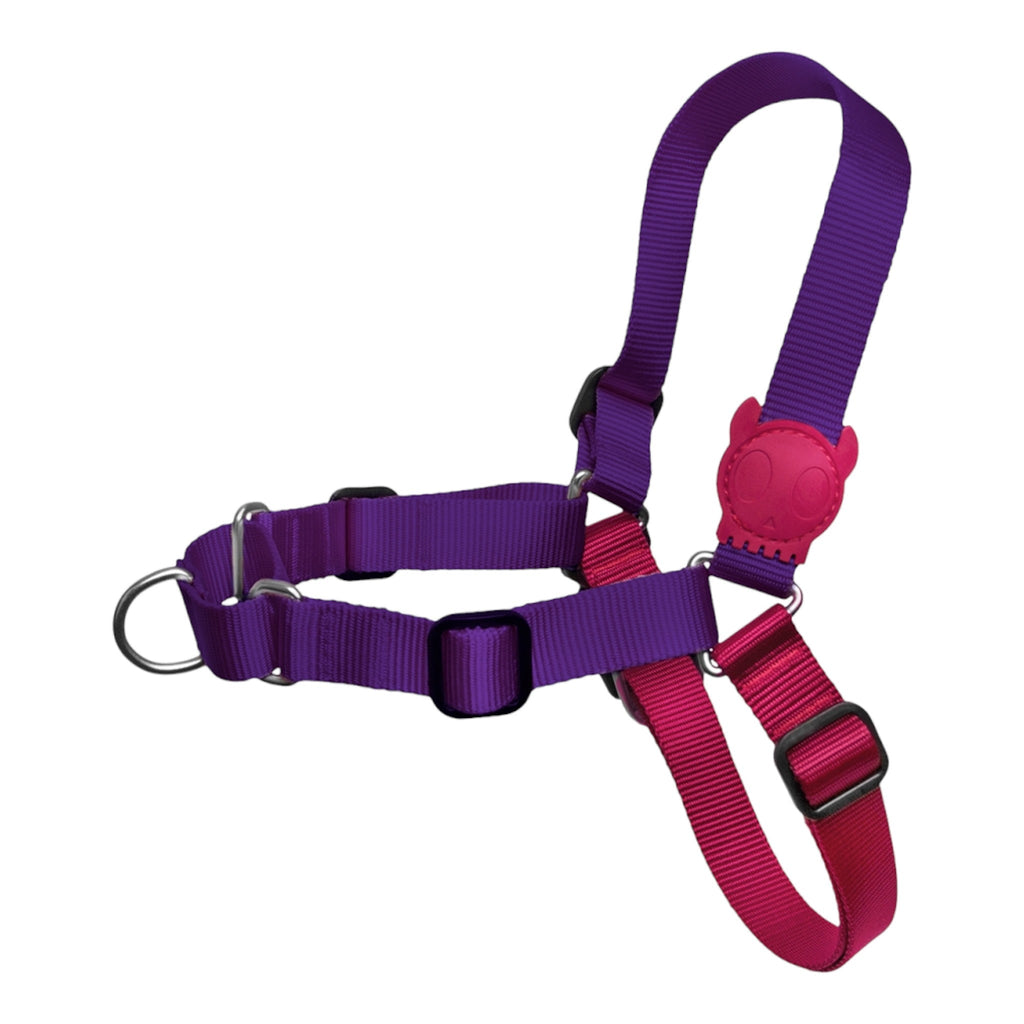 Zee.Dog Vega Soft - Walk Dog Harness - PetHubb - 7898582486083